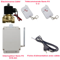 Kit Télécommande Sans Fil avec Interrupteur et Électrovanne 220V (Modèle: 0020567)