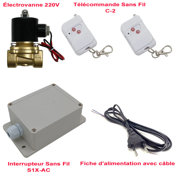 Kit Télécommande Sans Fil avec Interrupteur et Électrovanne 220V (Modèle: 0020567)