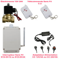 Kit Électrovanne Télécommande Sans Fil Avec 12V 24V Alimentation (Modèle: 0020568)
