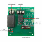 1 Voie Interrupteur Relais Sans Fil 220V 2200 Watt Récepteur Radio (Modèle: 0020466)