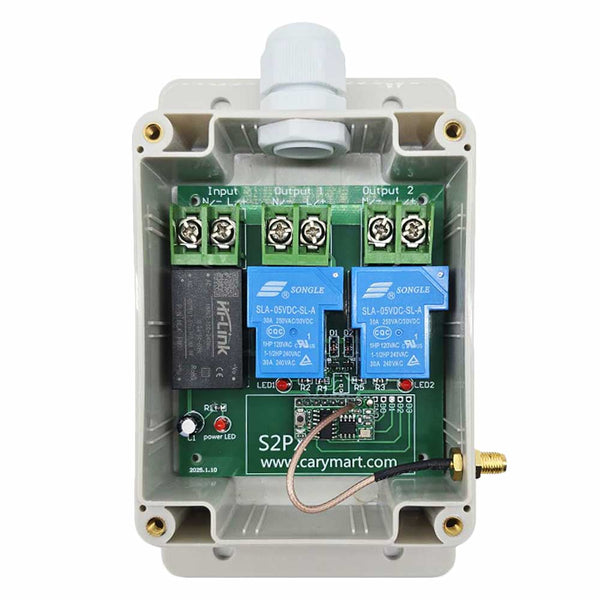 230V Interrupteur Sans Fil 6900 Watt Récepteur Radio Sortie CA 2 Voies (Modèle: 0020048)