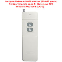 2 Voies CC 8V~80V 30A Interrupteur Sans Fil avec Télécommande 5km (Modèle: 0020105)