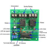 2 Canaux CC 6V 9V 12V 24V Étanche Interrupteur Sans Fil (Modèle: 0020199)