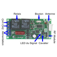 2 Canaux Récepteur Radio Sortie CA 220V 3A Interrupteur Lampe Sans Fil (Modèle: 0020614)