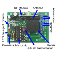 12 CC 12V Interrupteur Sans Fil et 1 Télécommande Radio avec 12 Boutons (Modèle: 0020494)
