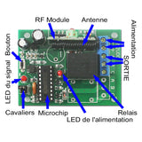 12 CC 12V Interrupteur Sans Fil et 1 Télécommande Radio avec 12 Boutons (Modèle: 0020494)