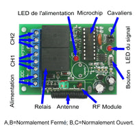 2 Canaux CC 6V 9V 12V 24V 10A Interrupteur Sortie Relais avec Télécommande Sans Fil (Modèle: 0020029)
