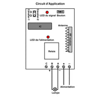 12 CC 12V Interrupteur Sans Fil et 1 Télécommande Radio avec 12 Boutons (Modèle: 0020494)