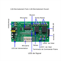 2 Voies 220V 10A Retard Interrupteur Sans Fil Avec Télécommande Radio (Modèle: 0020321)