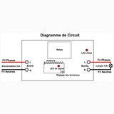 1 Canal CA 220V 3.5KW Interrupteur Sans Fil ou Récepteur Radio (Modèle: 0020030)