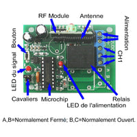 CC Interrupteur Sans Fil Récepteur Radio 1 Canal Sortie Relais 10A (Modèle: 0020043)