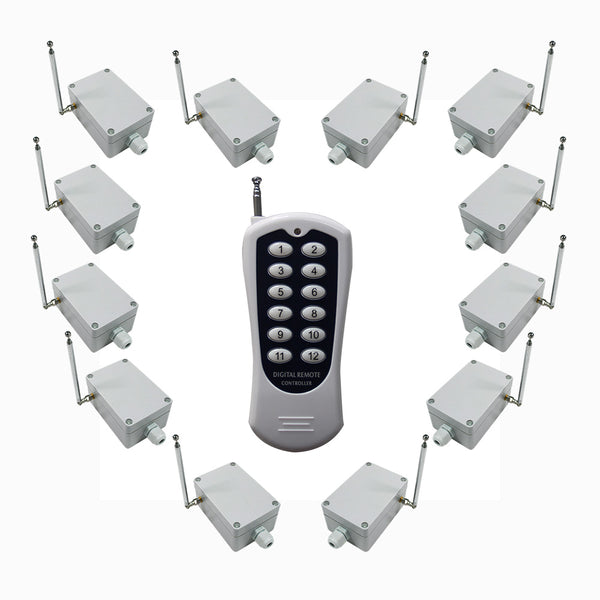 12 Interrupteur Sans Fil CA220V 30A et une Télécommande avec 12 Boutons (Modèle: 0020366)