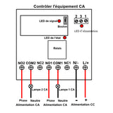 Commande Sans Fil Équipements CA Par 2 Canaux 12V Interrupteur Télécommande