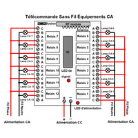 433MHz CC 9V 12V 24V Kit Interrupteur Sans Fil avec 12 Télécommandes (Modèle: 0020192)