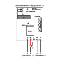 CC Interrupteur Sans Fil Récepteur Radio 1 Canal Sortie Relais 10A (Modèle: 0020043)