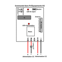 1 Canal Sortie Relais CC 10A Interrupteur Sans Fil ou Récepteur Radio (Modèle: 0020043)