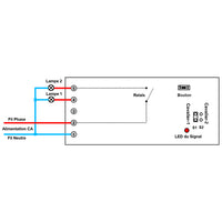 2 Canaux Récepteur Radio Sortie CA 220V 3A Interrupteur Lampe Sans Fil (Modèle: 0020614)
