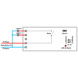 2 Canaux Récepteur Radio Sortie CA 220V 3A Interrupteur Lampe Sans Fil (Modèle: 0020614)