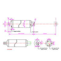 12V 24V Vérin Électrique Grande Vitesse Actionneur Linéaire Course 100MM
